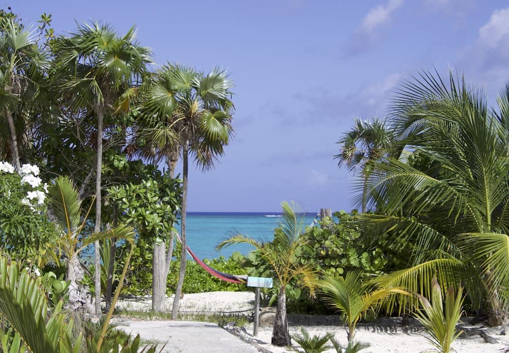 Pelican Beach Hotel - Photo 46