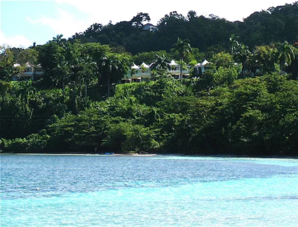 Goblin Hill Villas at San San - Photo 93