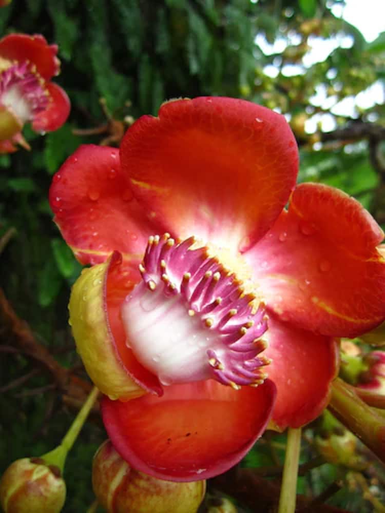 Goblin Hill Villas at San San - Photo 157