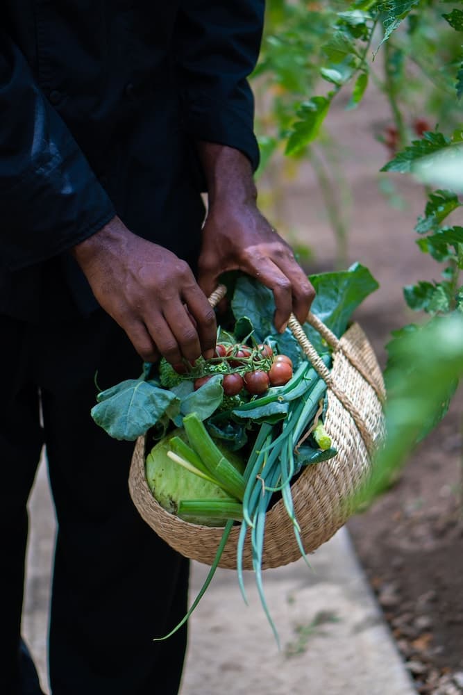 Golden Rock Dive And Nature Resort - Photo 80