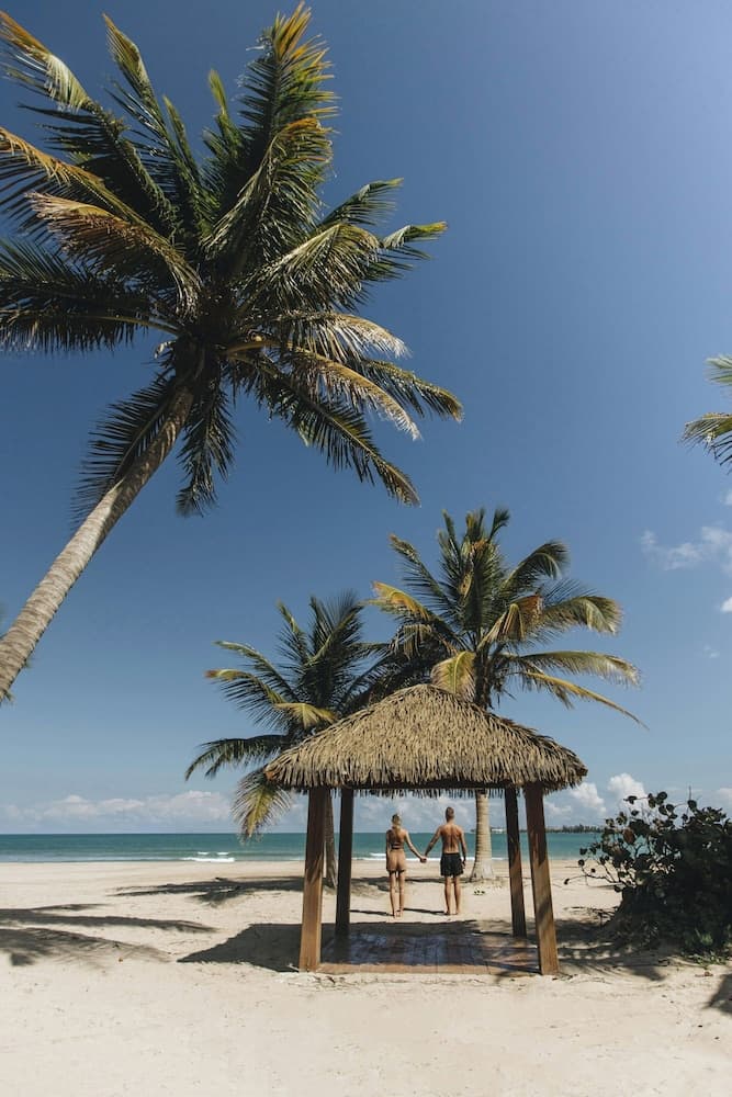 Four Seasons Resort and Residence Puerto Rico - Photo 49