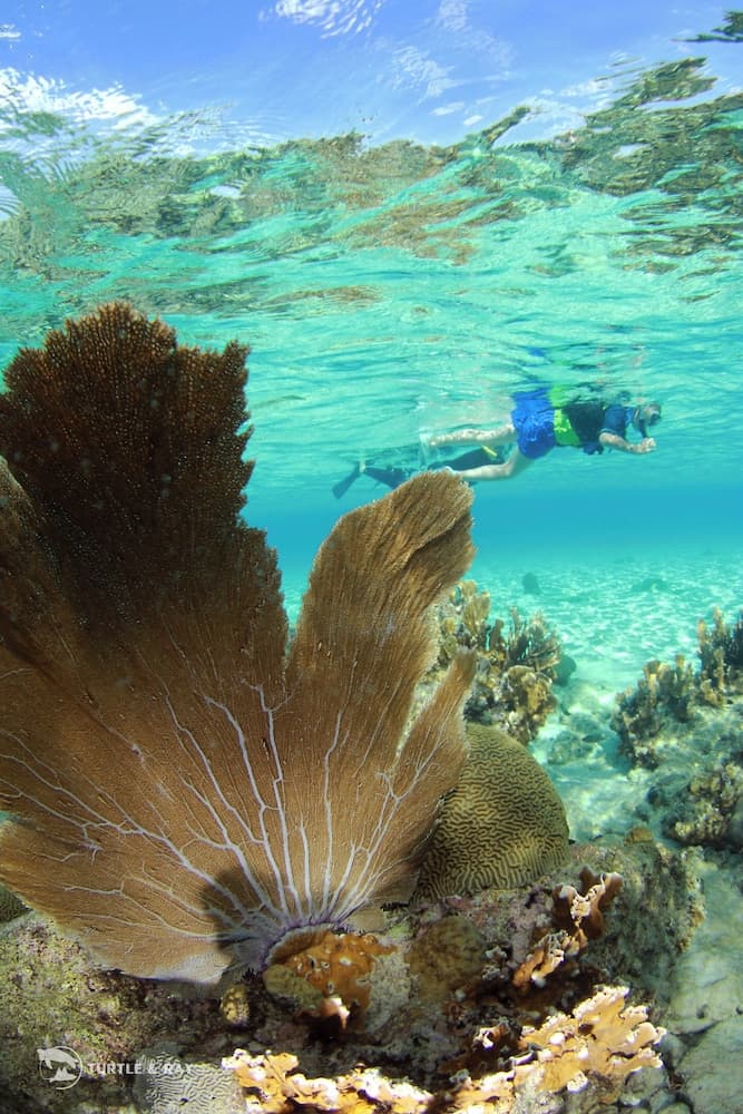 Lagun Blou Resort - Photo 85