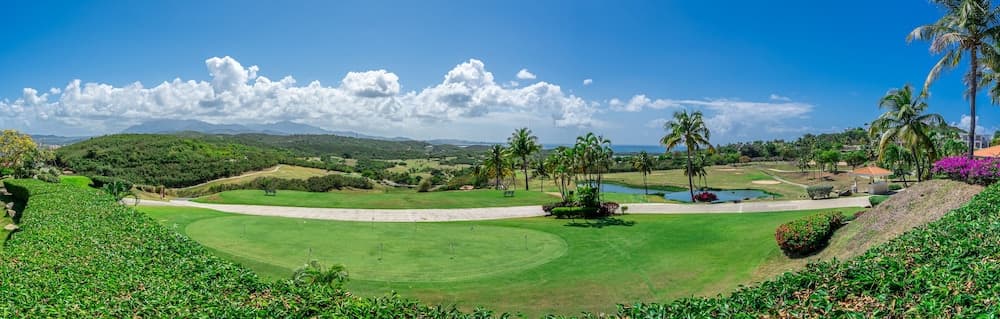 El Conquistador Resort - Photo 32