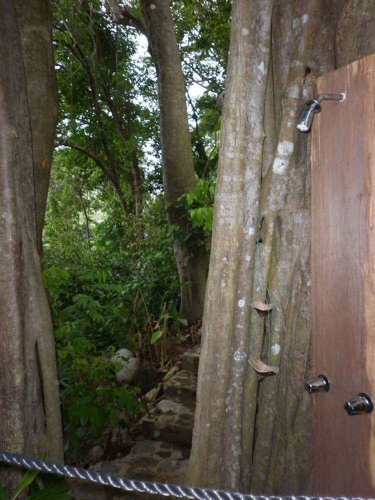 Citrus Creek Plantation - Photo 38