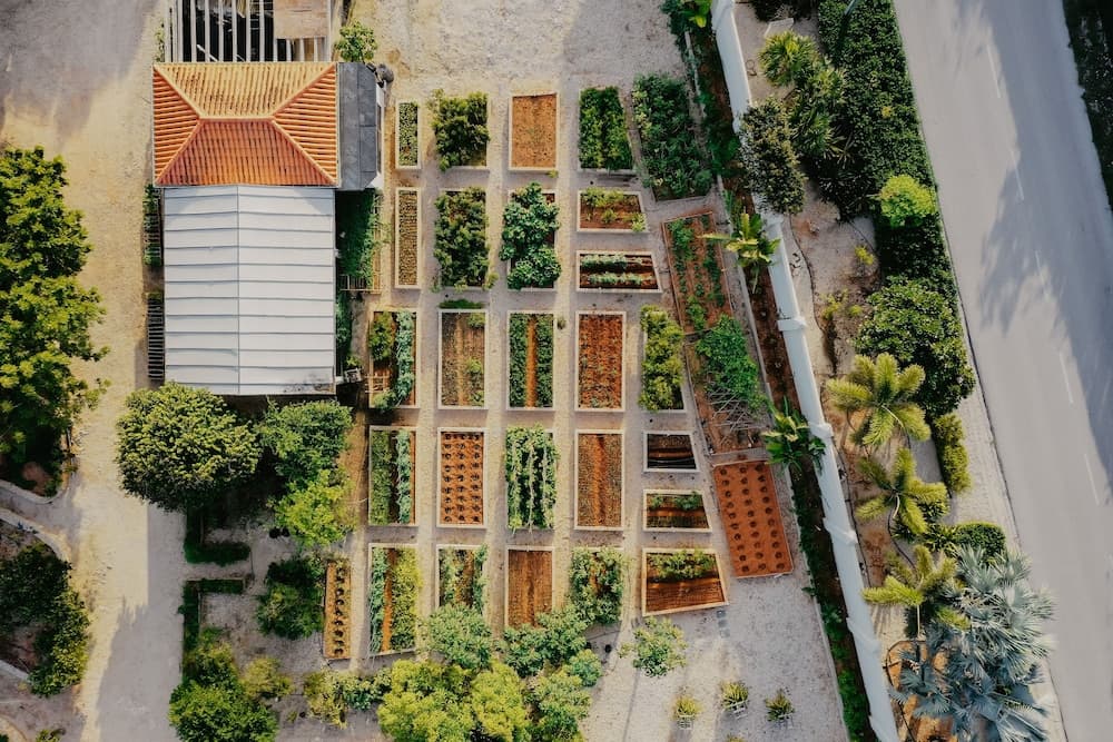 Le Soleil d'Or CaymanBrac - Photo 54