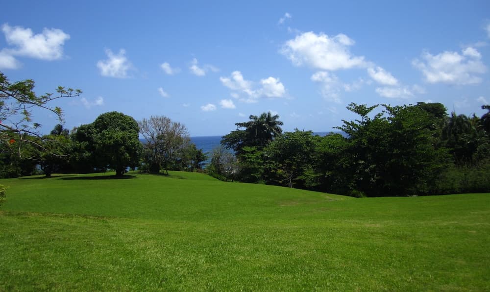 Goblin Hill Villas at San San - Photo 134