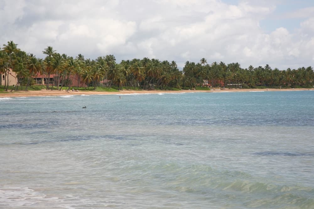 Park Royal Homestay Club Cala Puerto Rico - Photo 40