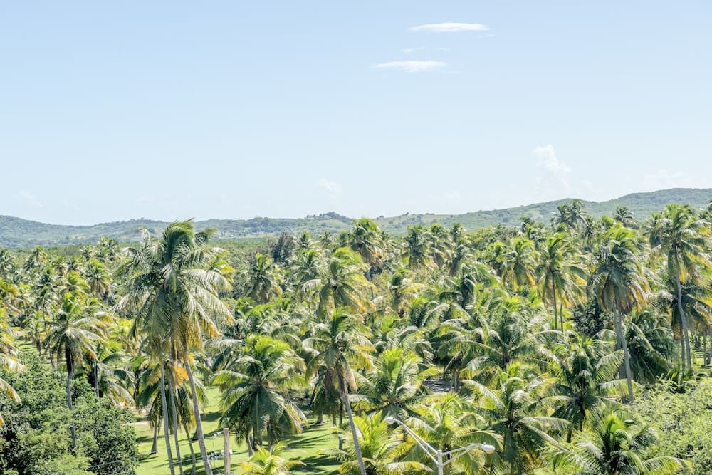 Aquarius Vacation Club at Boqueron Beach Resort - Photo 29