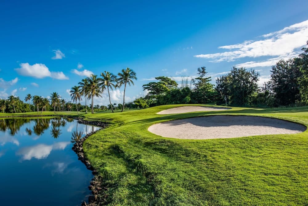 Wyndham Grand Rio Mar Rainforest Beach and Golf Resort - Photo 147