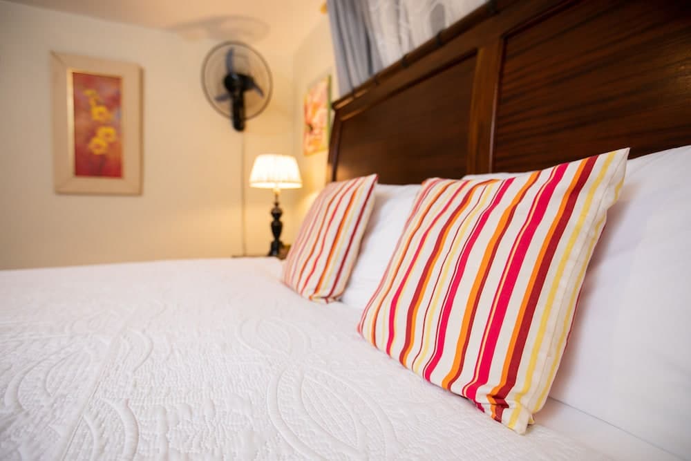 Casa da Buena Vista - Photo 22