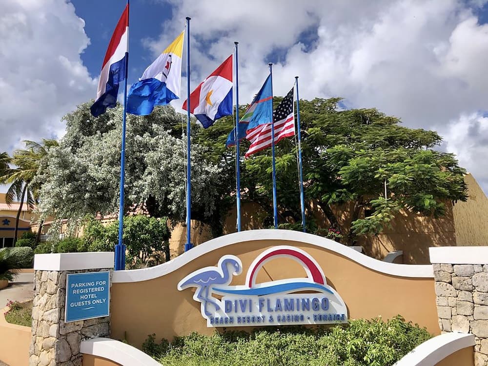 Divi Flamingo Beach Resort & Casino - Photo 47