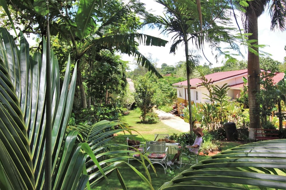 Casa da Buena Vista - Photo 119