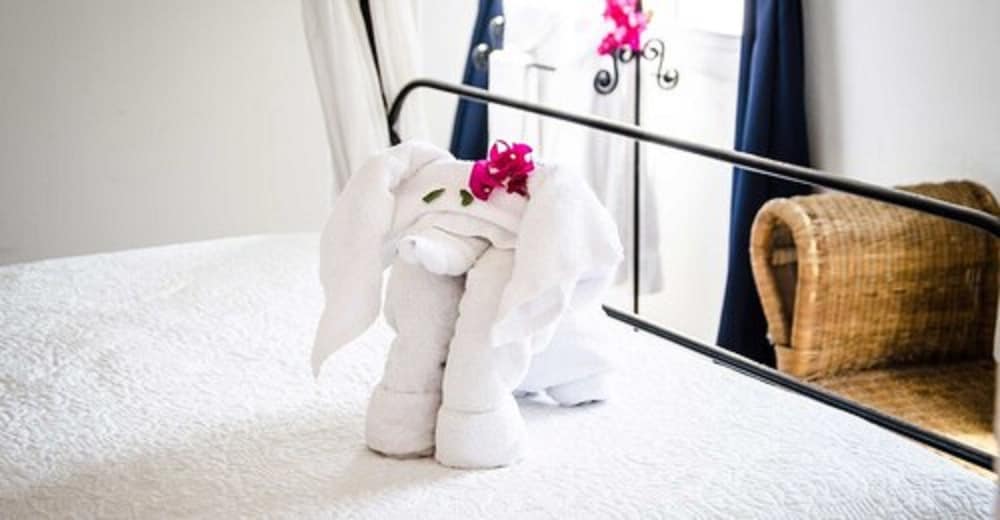 Queen’s Hotel Saba - Photo 3