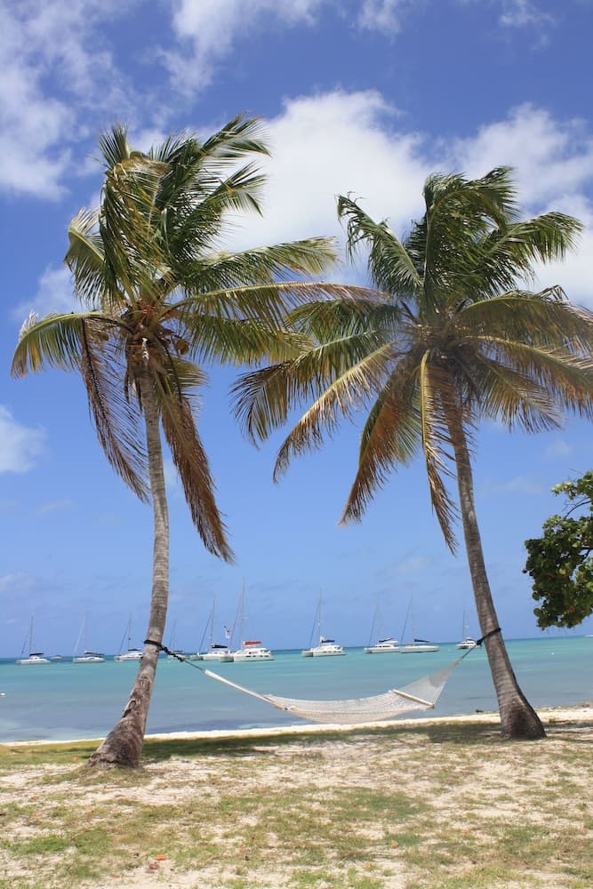 Anegada Reef Hotel - Photo 16