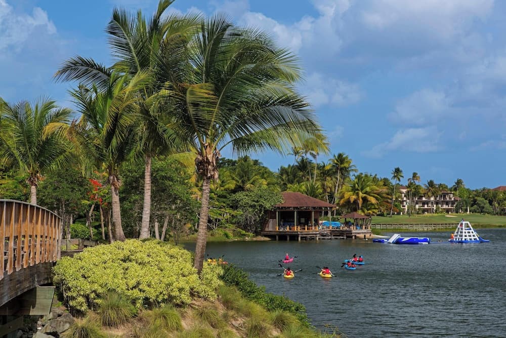 Four Seasons Resort and Residence Puerto Rico - Photo 55