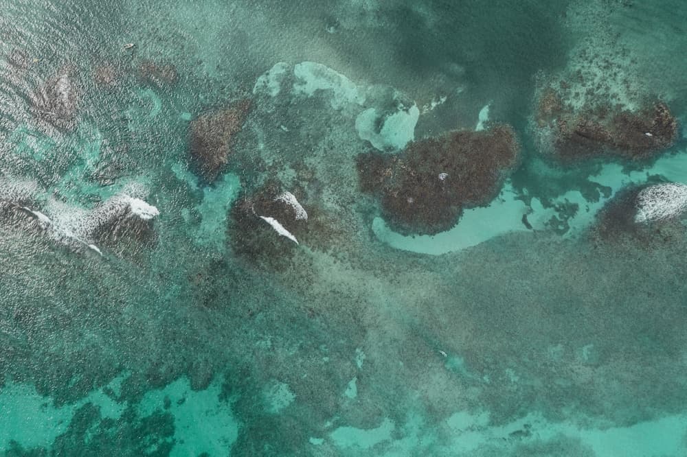 JOIA Rose Hall by Iberostar - Adults Only - All Inclusive - Photo 117