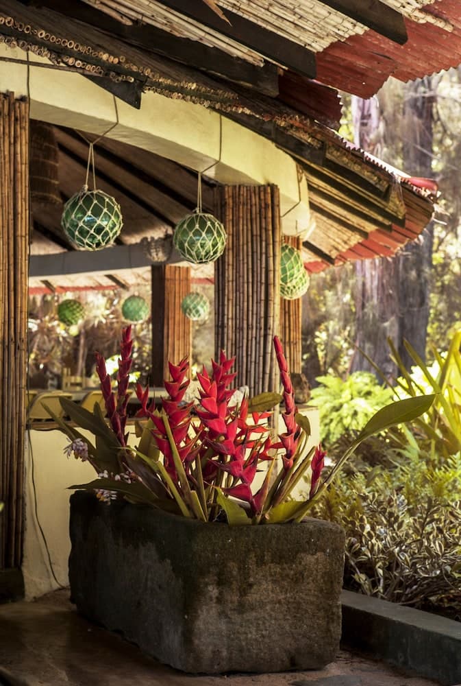 Cormier Plage Resort - Photo 19