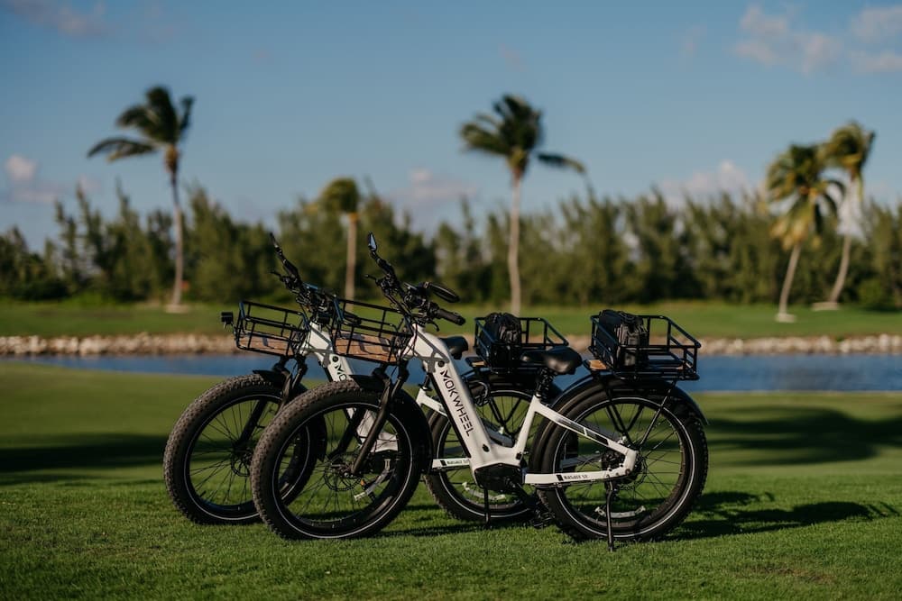 The Ritz-Carlton, Grand Cayman - Photo 52