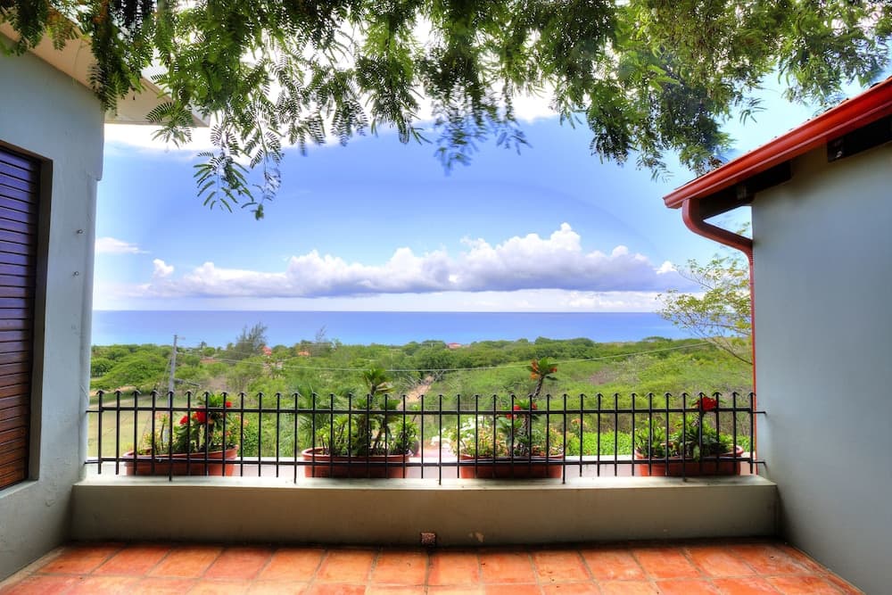 Hacienda Tamarindo - Photo 134