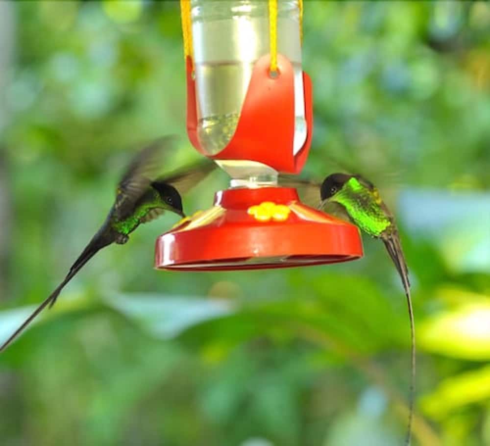 Goblin Hill Villas at San San - Photo 106