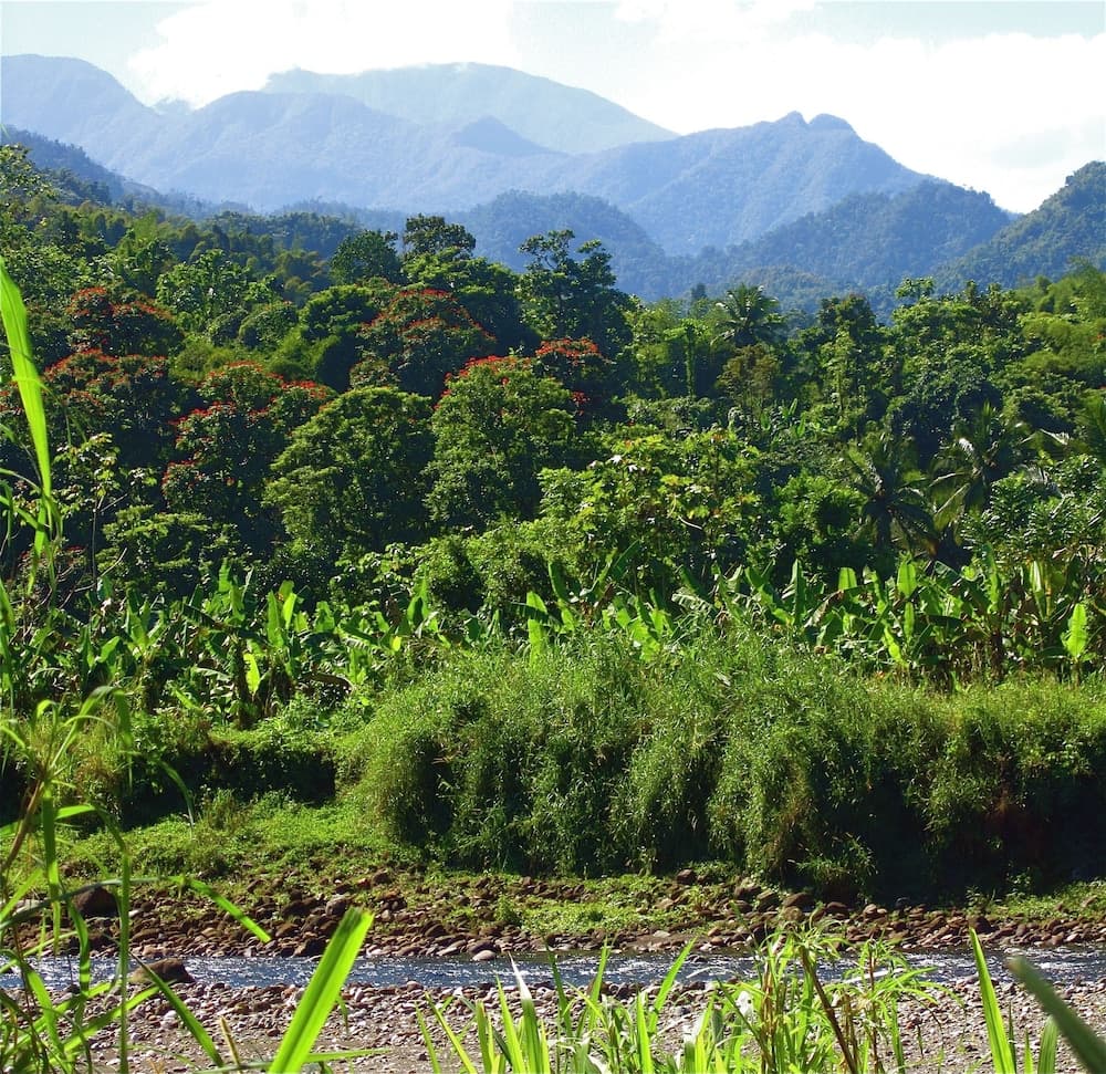 Goblin Hill Villas at San San - Photo 165