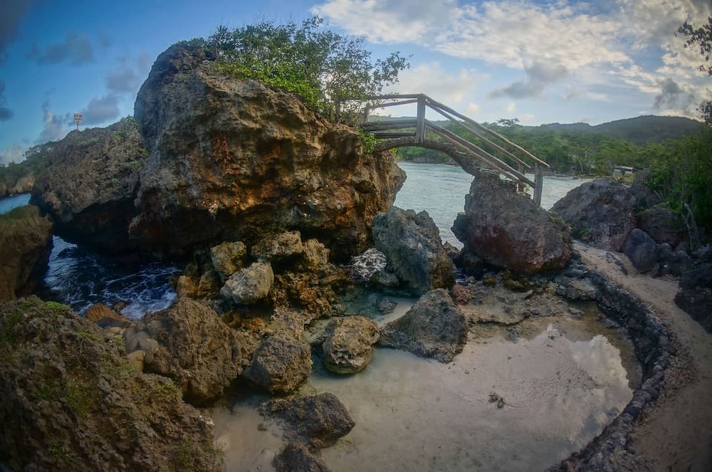 Great Huts - Photo 70