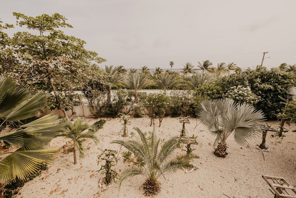 Le Soleil d'Or CaymanBrac - Photo 108