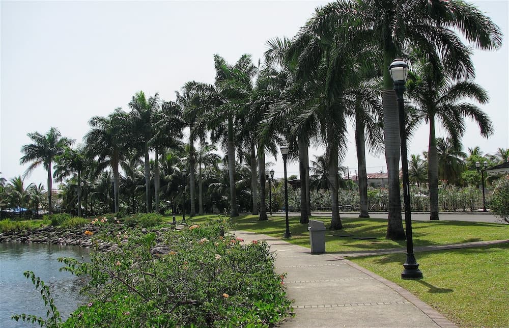 Goblin Hill Villas at San San - Photo 168