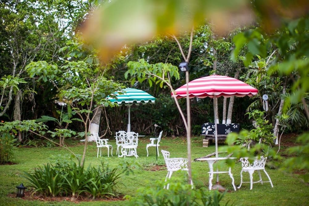 Casa da Buena Vista - Photo 86