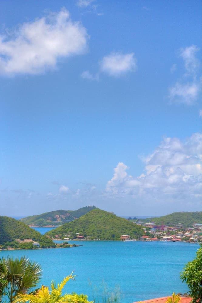 Castle Villas at Bluebeard's - Photo 14