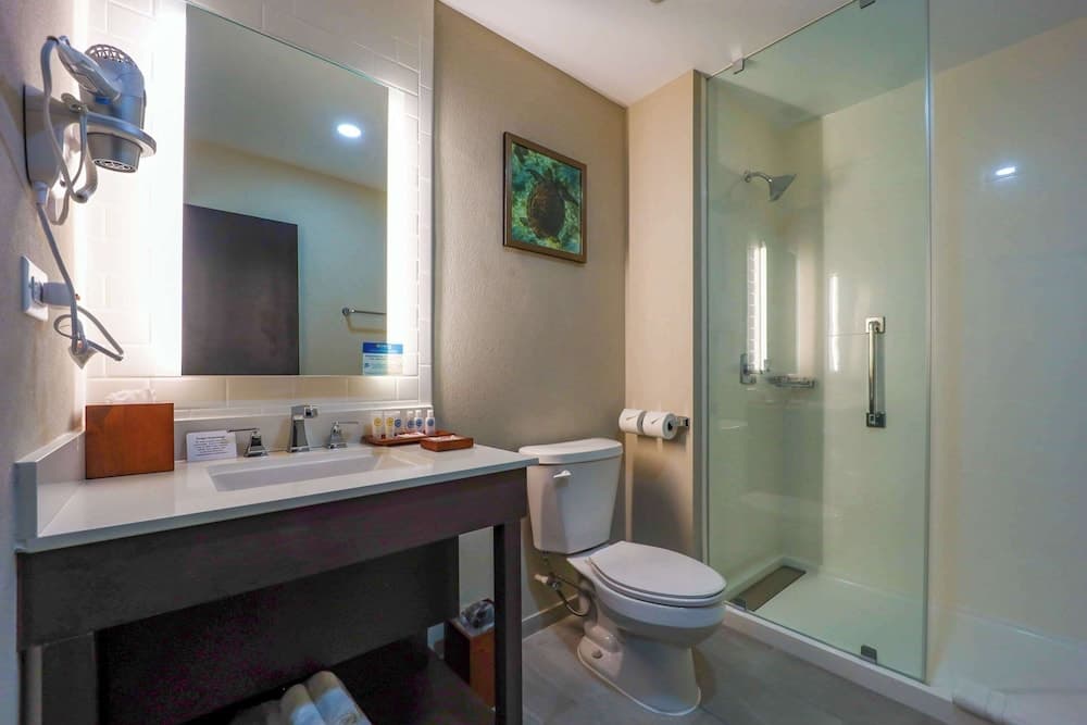 Comfort Inn & Suites Tobago - Photo 6