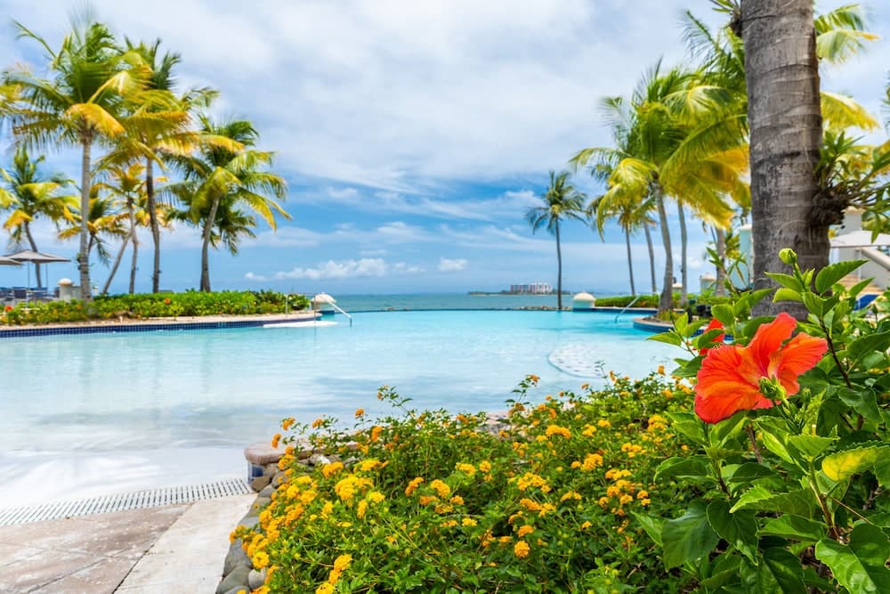 El Conquistador Resort - Photo 17