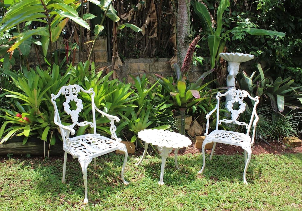 Casa da Buena Vista - Photo 23