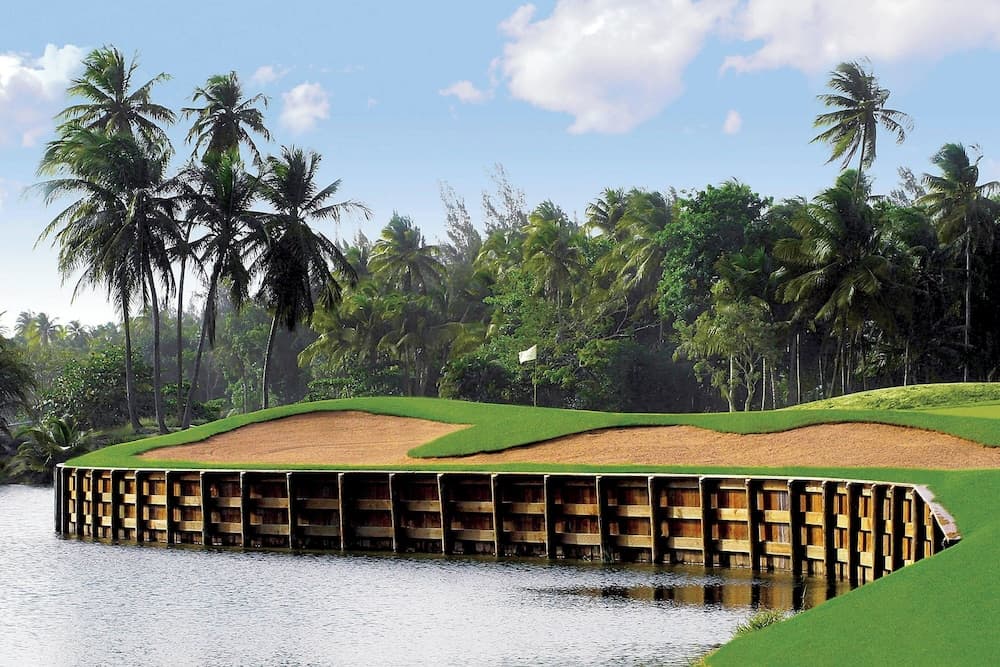 Four Seasons Resort and Residence Puerto Rico - Photo 53