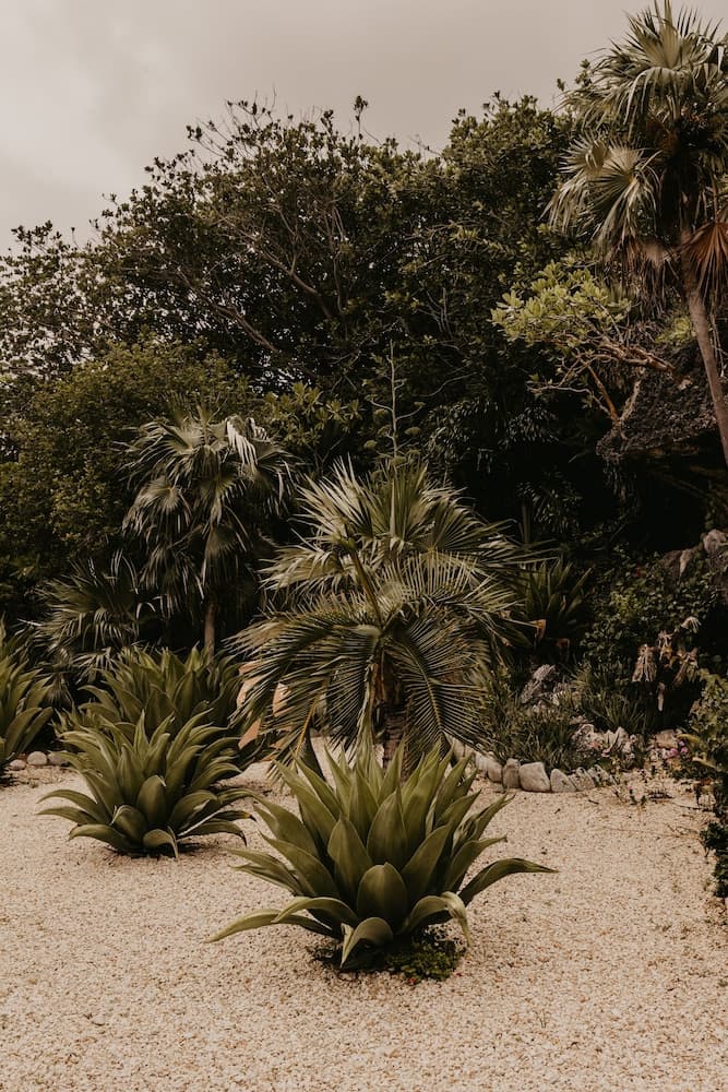 Le Soleil d'Or CaymanBrac - Photo 52