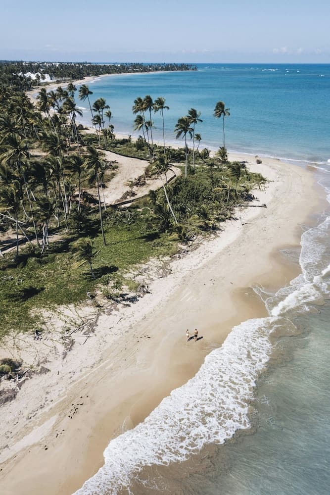 Four Seasons Resort and Residence Puerto Rico - Photo 139