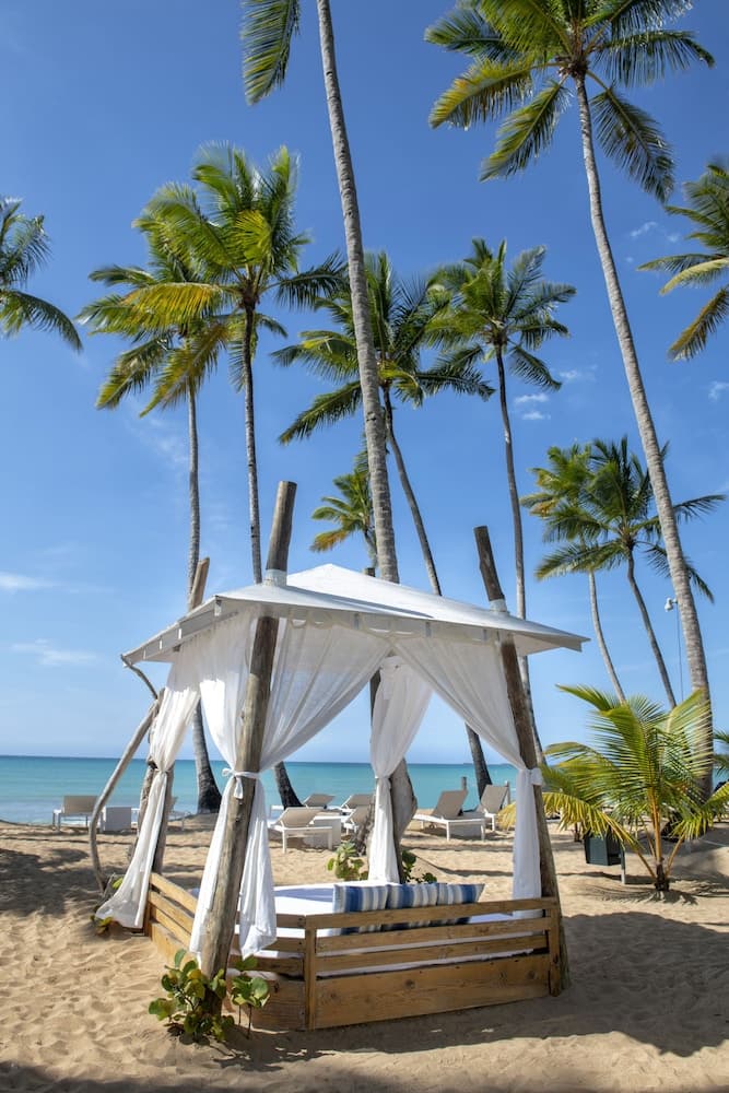 Viva V Samana by Wyndham, A Trademark Adults All Inclusive - Photo 80