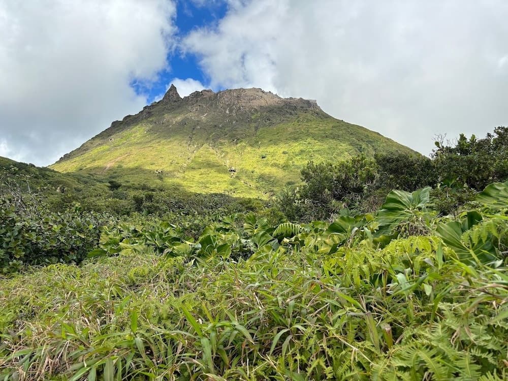 Habitation Saint Charles - Photo 72