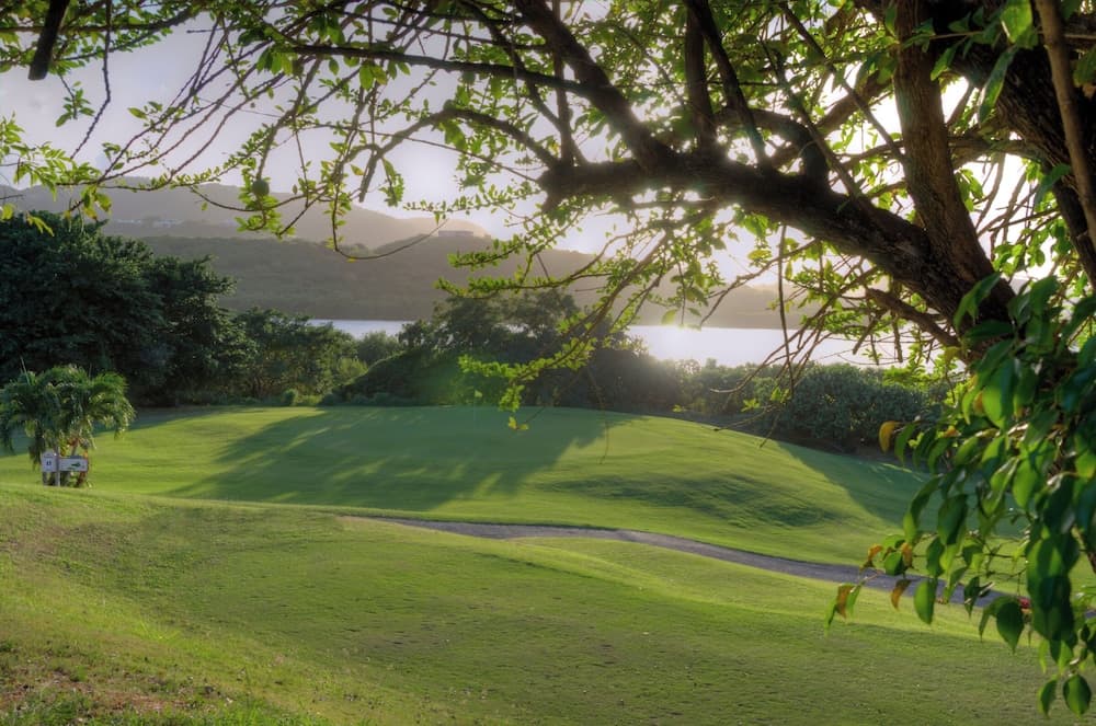 The Buccaneer Beach & Golf Resort - Photo 63