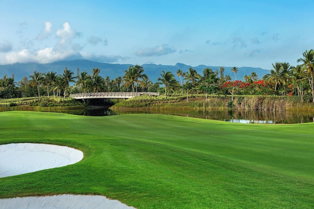 Four Seasons Resort and Residence Puerto Rico - Photo 51