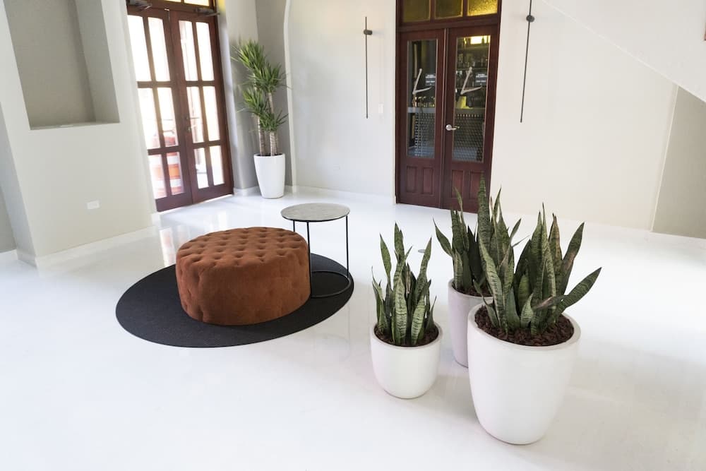 Ponce Plaza Hotel & Casino - Photo 5