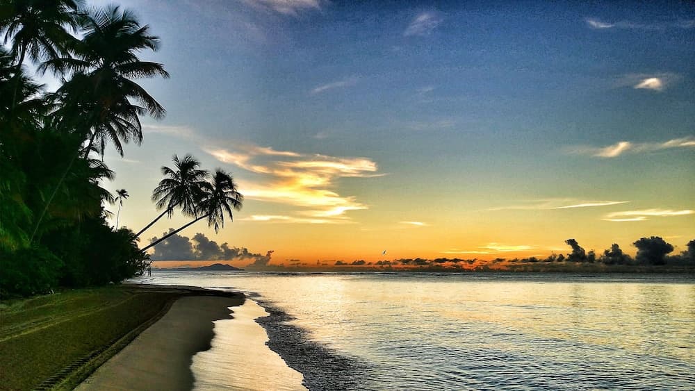 Park Royal Homestay Club Cala Puerto Rico - Photo 47