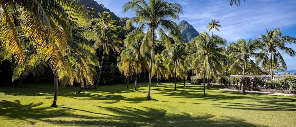 Sugar Beach, A Viceroy Resort - Photo 174