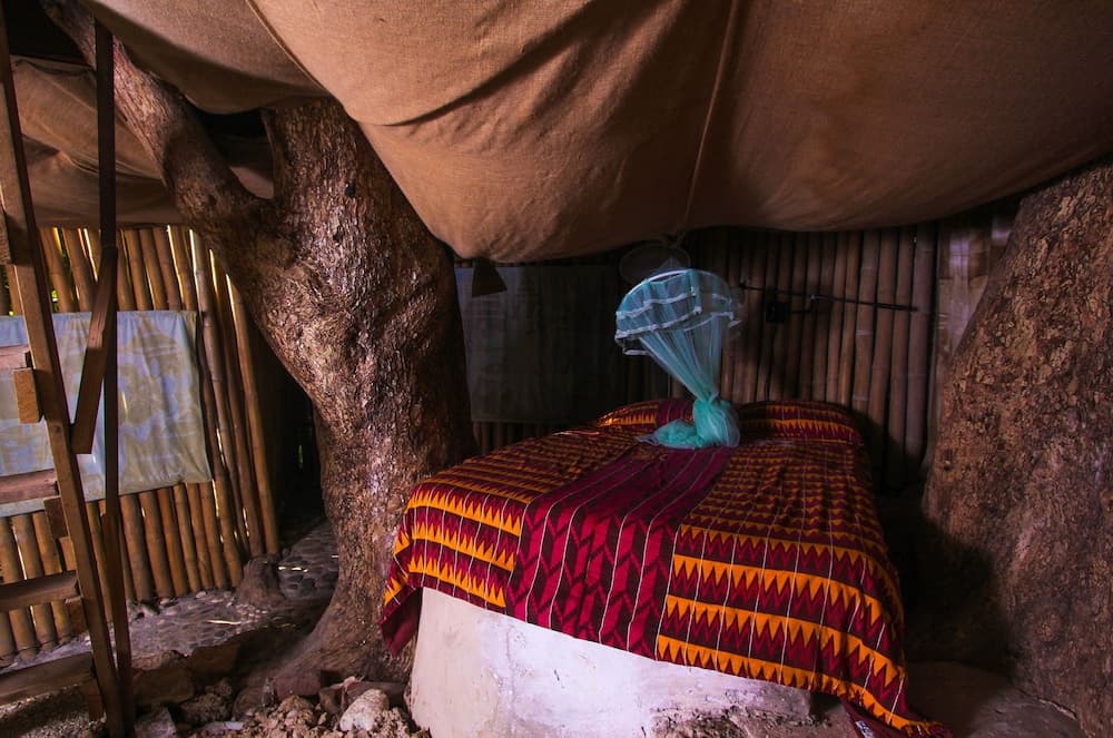 Great Huts - Photo 6