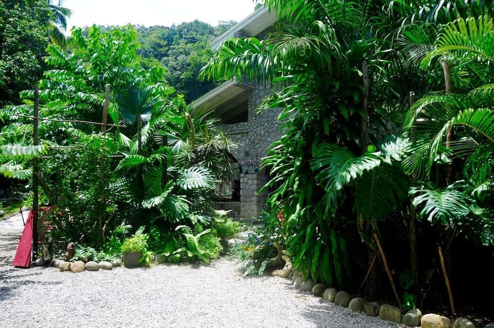 Citrus Creek Plantation - Photo 65