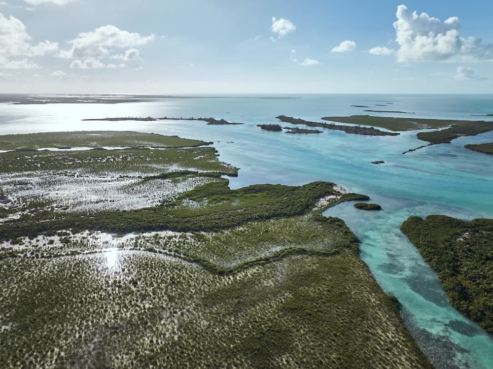 COMO Parrot Cay - Photo 207