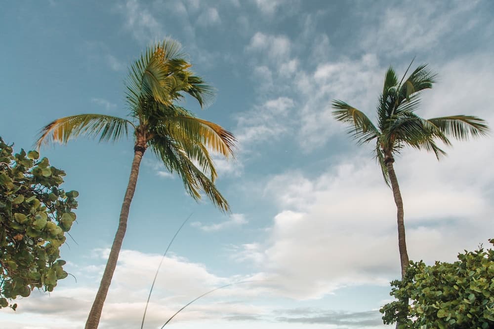 The Ritz-Carlton, St. Thomas - Photo 168