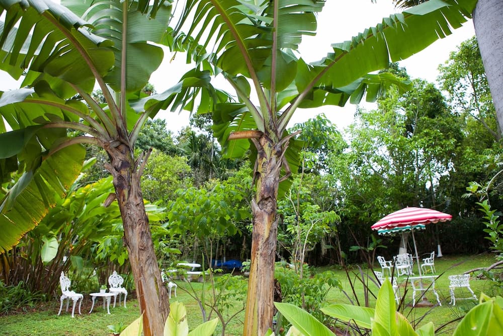 Casa da Buena Vista - Photo 58