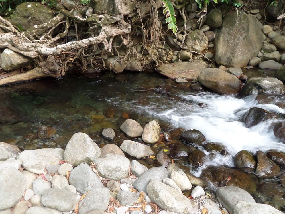 Citrus Creek Plantation - Photo 43