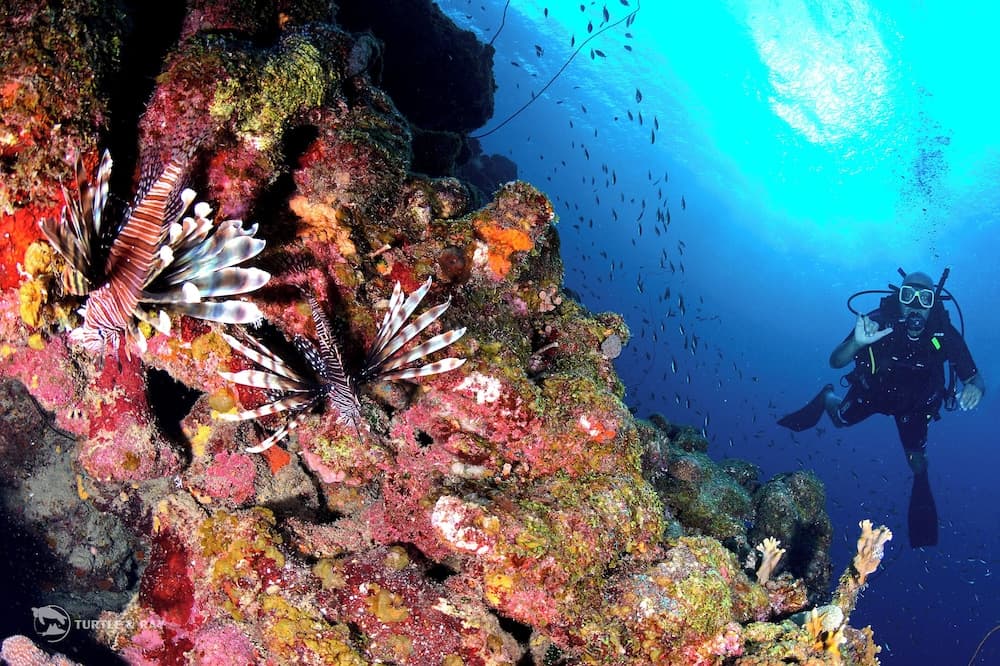 Lagun Blou Resort - Photo 80